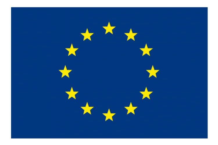Logo_euro_flag